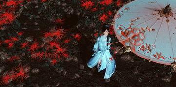 如梦初醒图片,探寻梦境与现实交织的奇妙旅程